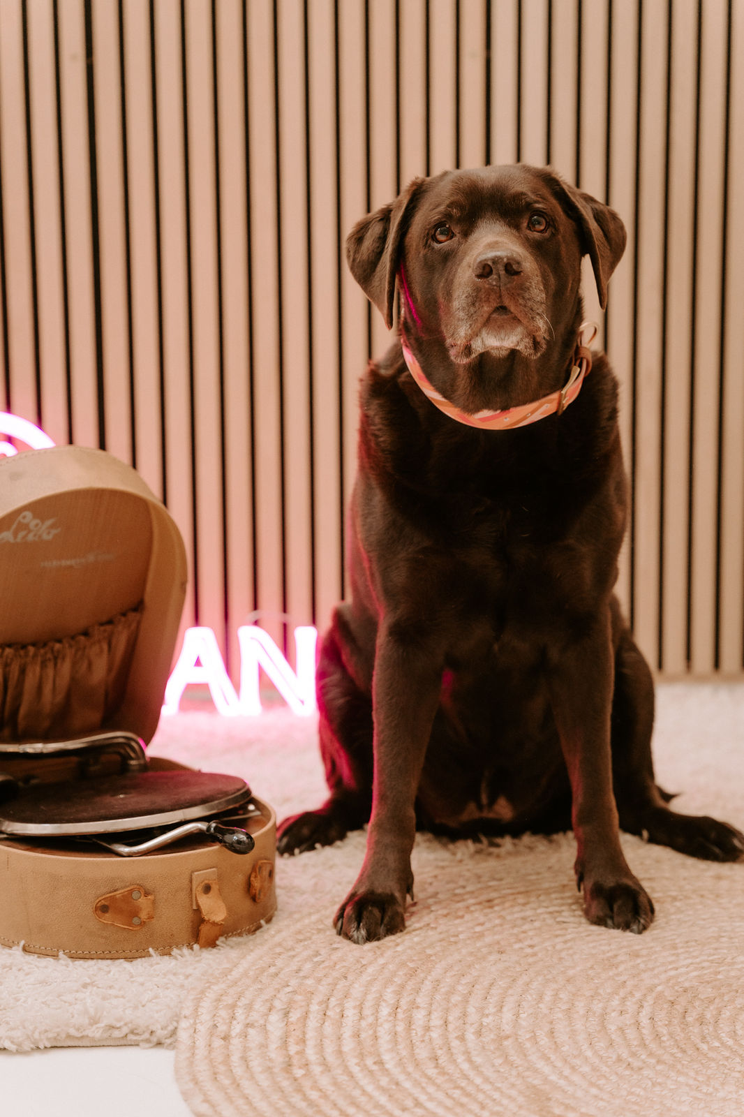 Is this the real life