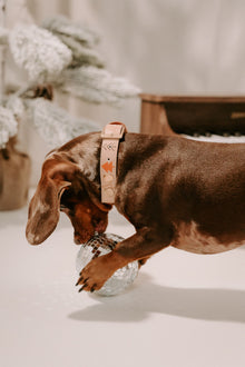 Halsband - Anyway the wind blows X Espresso Noir [Test Product]