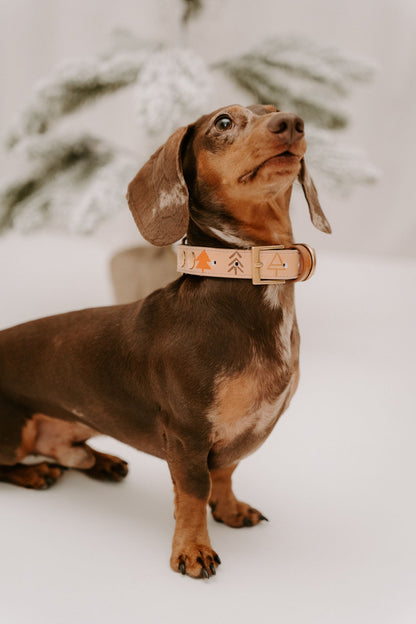 Halsband - Anyway the wind blows X Espresso Noir [Test Product]