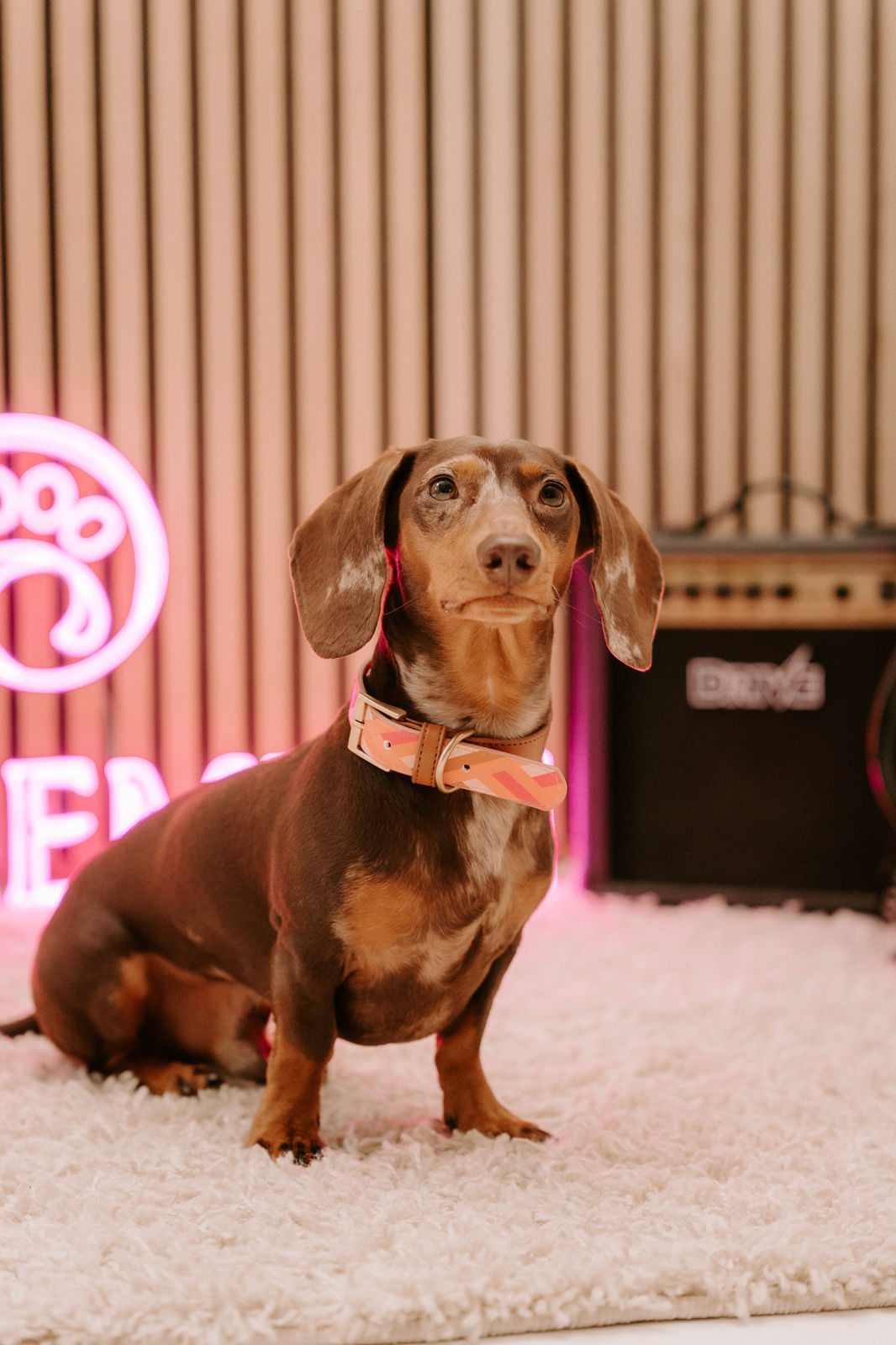 Is this the real life