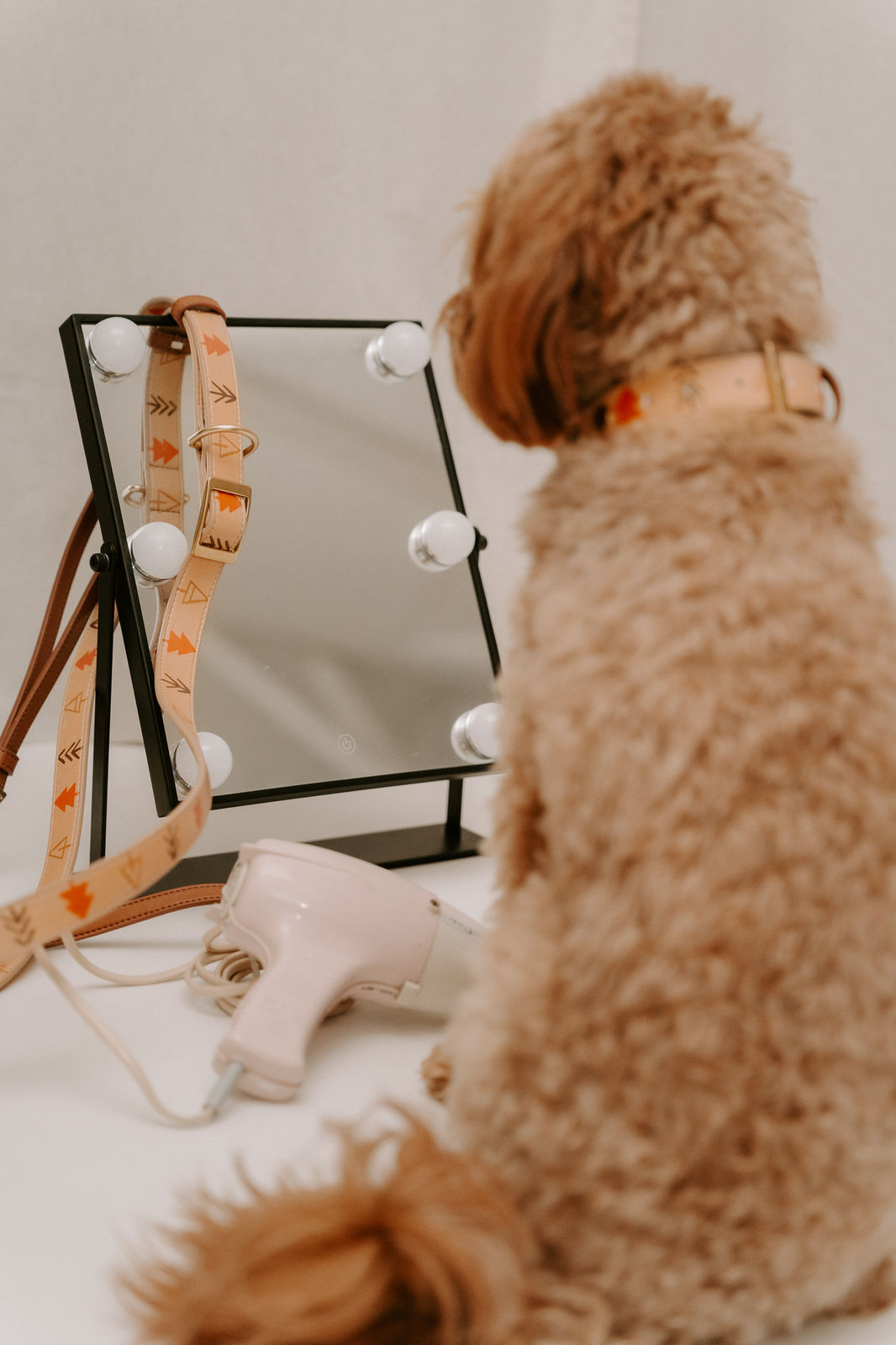 Halsband - Anyway the wind blows X Espresso Noir [Test Product]