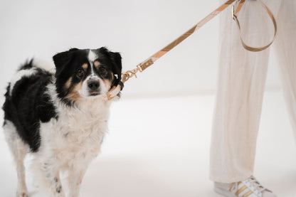 Nothing really matters