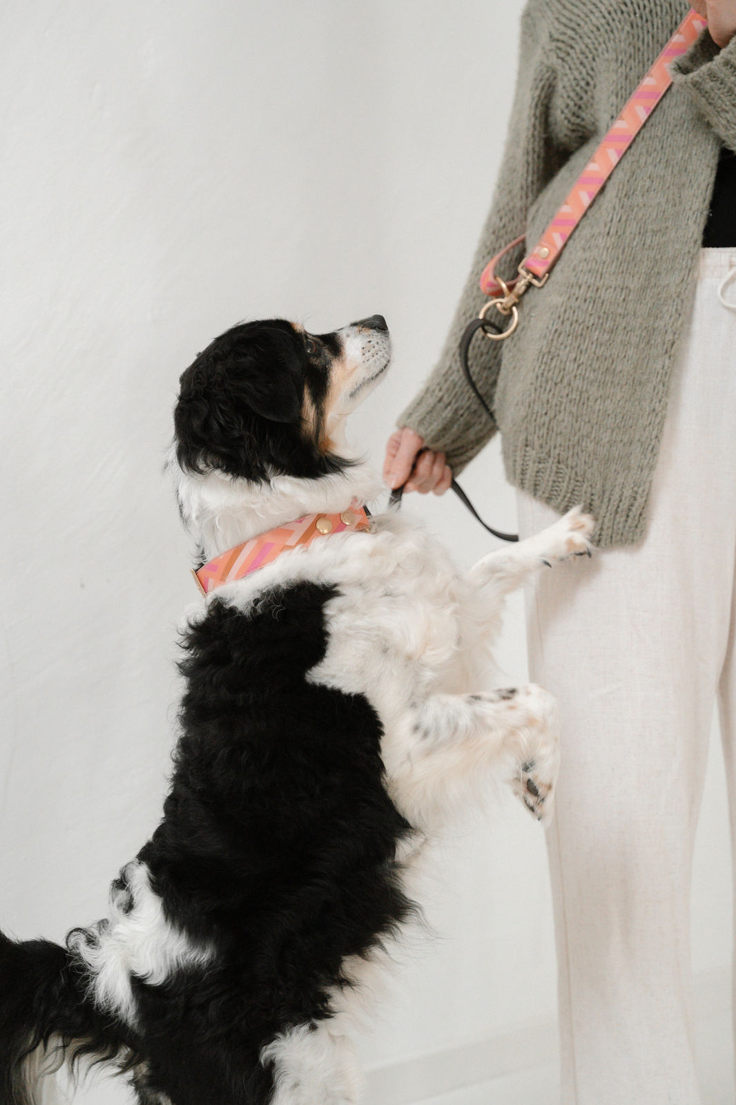 Is this the real life