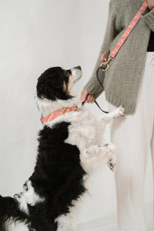 Is this the real life