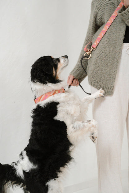 Is this the real life