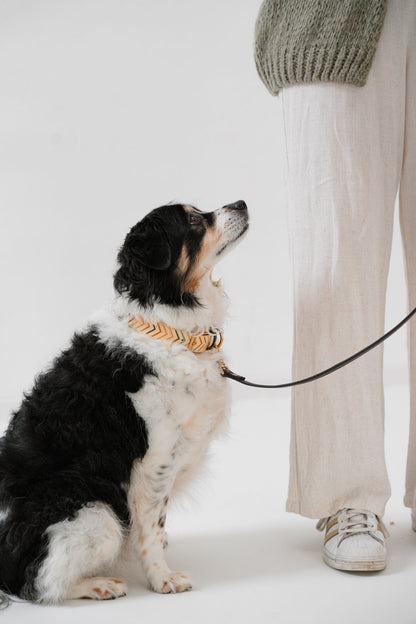 Little high, little low