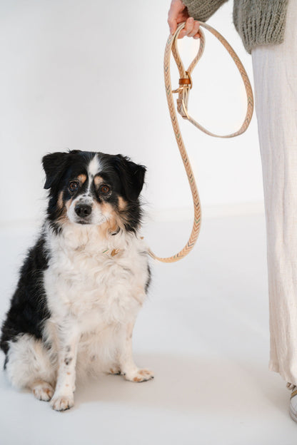 Little high, little low