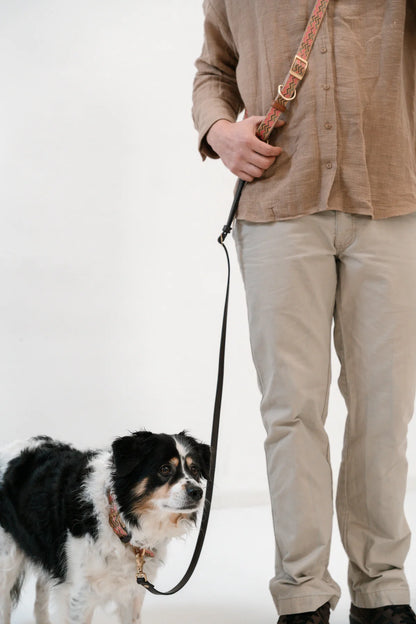 Galileo Figaro - Handsfree Leine