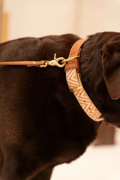 Design Hundehalsband aus veganem Leder – Easy come, easy go