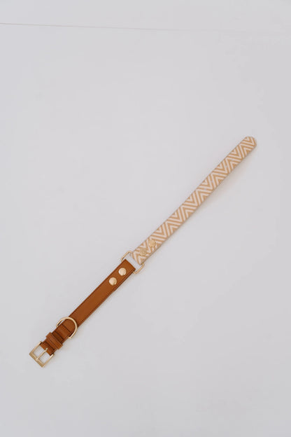 Design Hundehalsband aus veganem Leder – Easy come, easy go