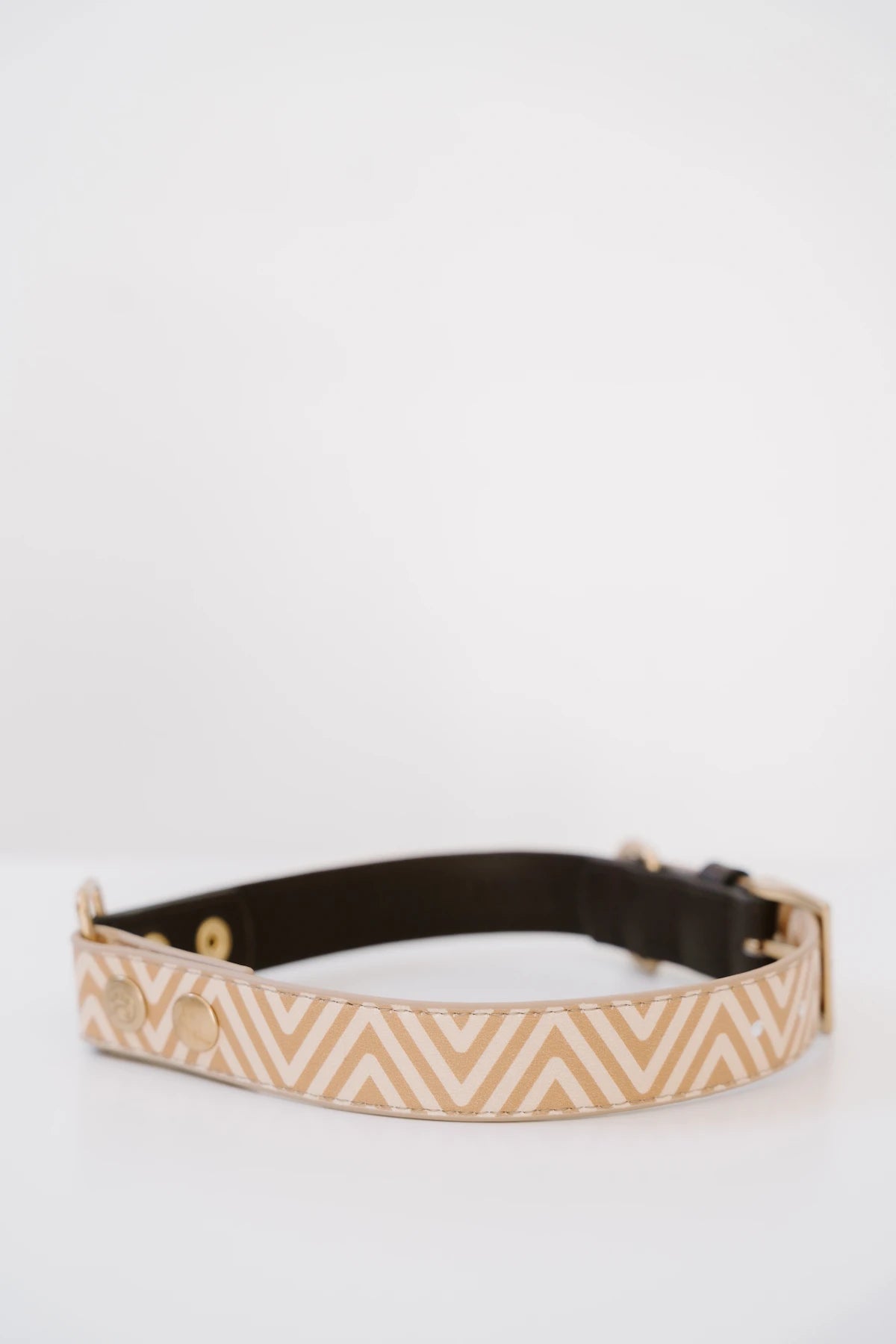 Design Hundehalsband aus veganem Leder – Easy come, easy go