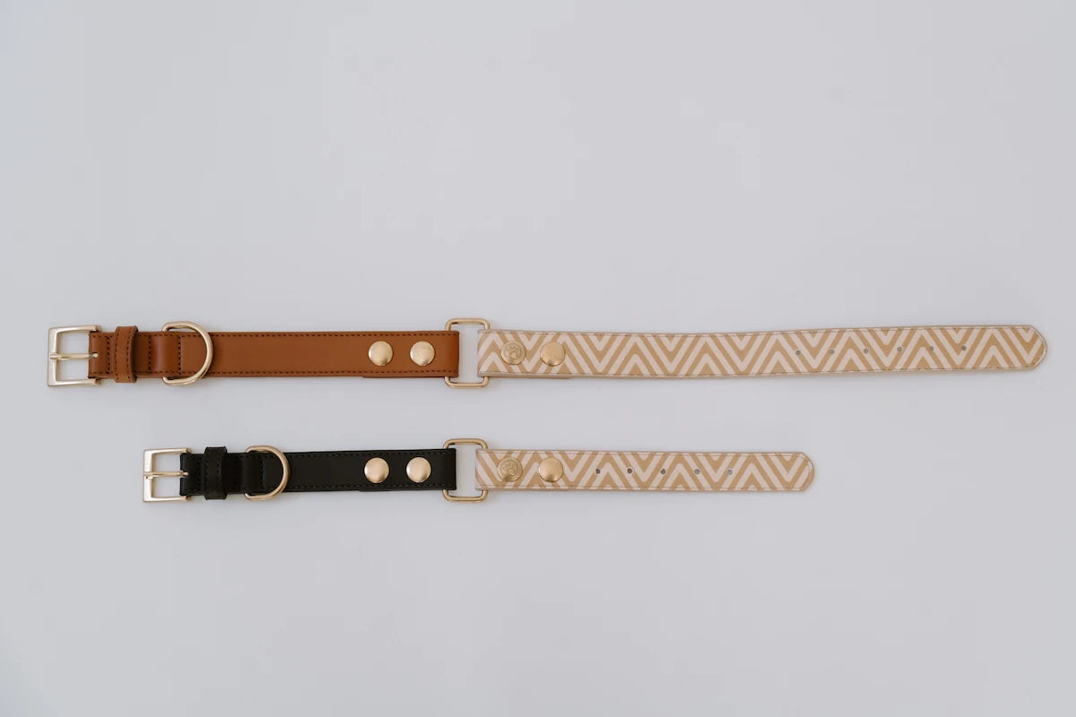 Design Hundehalsband aus veganem Leder – Easy come, easy go
