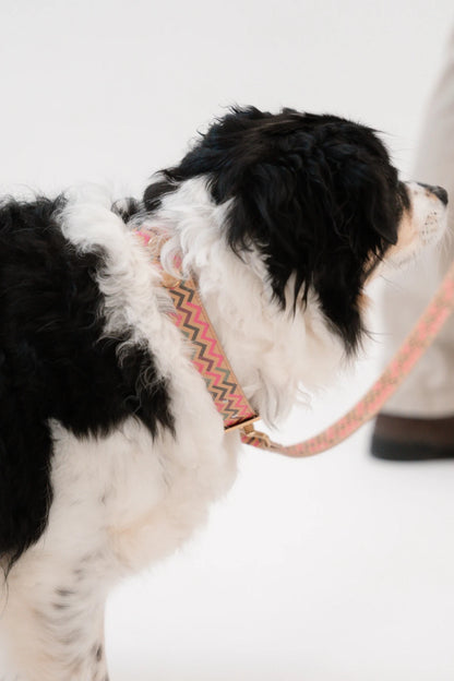 Galileo Figaro - Halsband