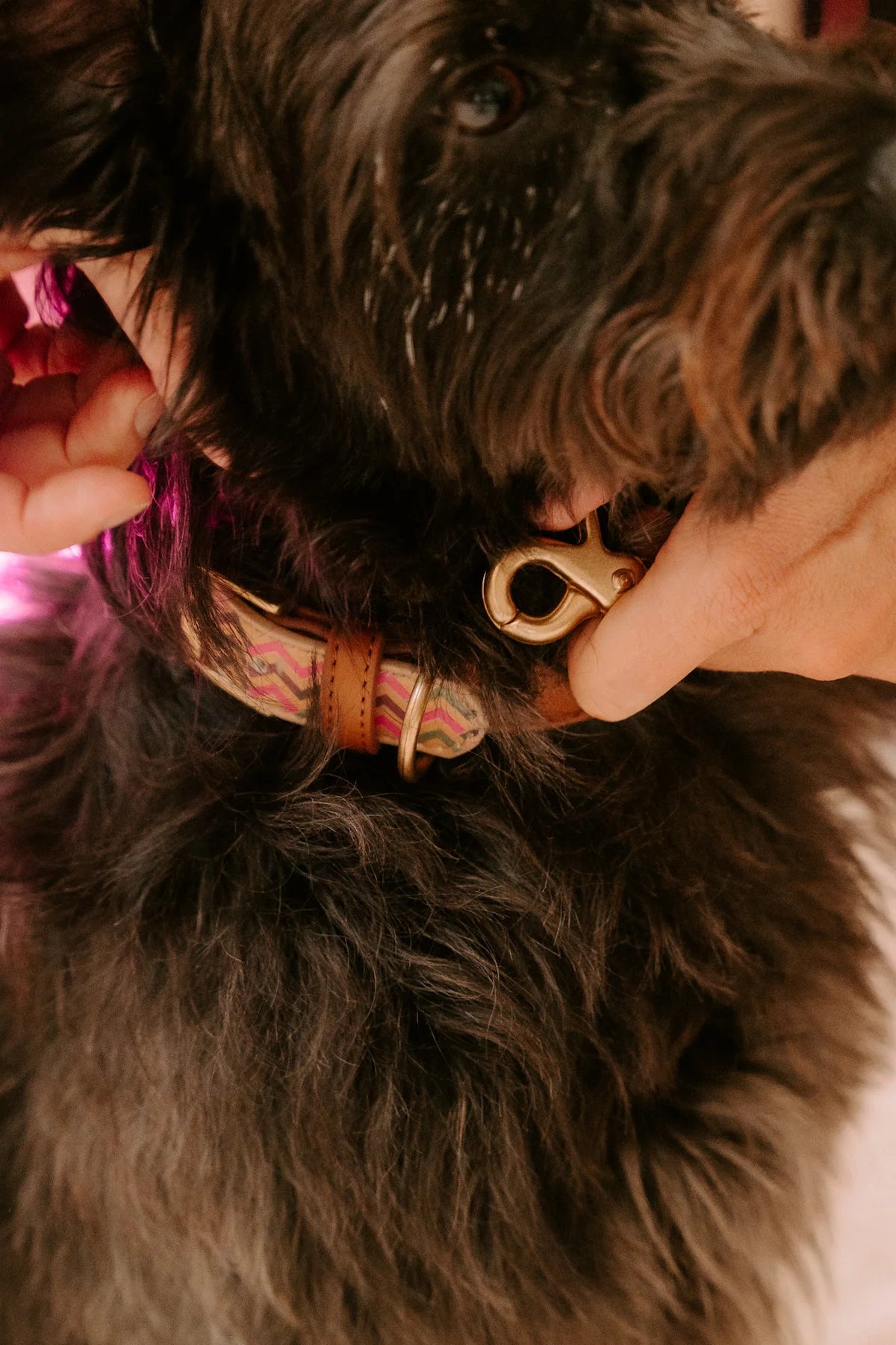 Galileo Figaro - Halsband