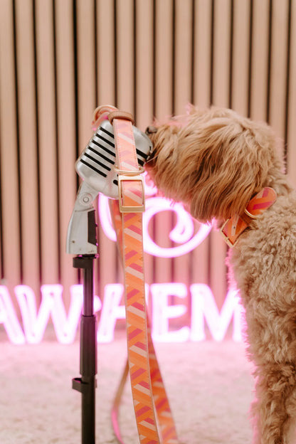 Design Hundehalsband aus veganem Leder – Is this the real life?