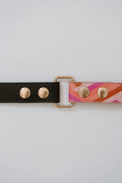 Design Hundehalsband aus veganem Leder – Is this the real life?