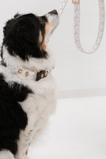Design Hundehalsband aus veganem Leder – Magnifico-o-o-o