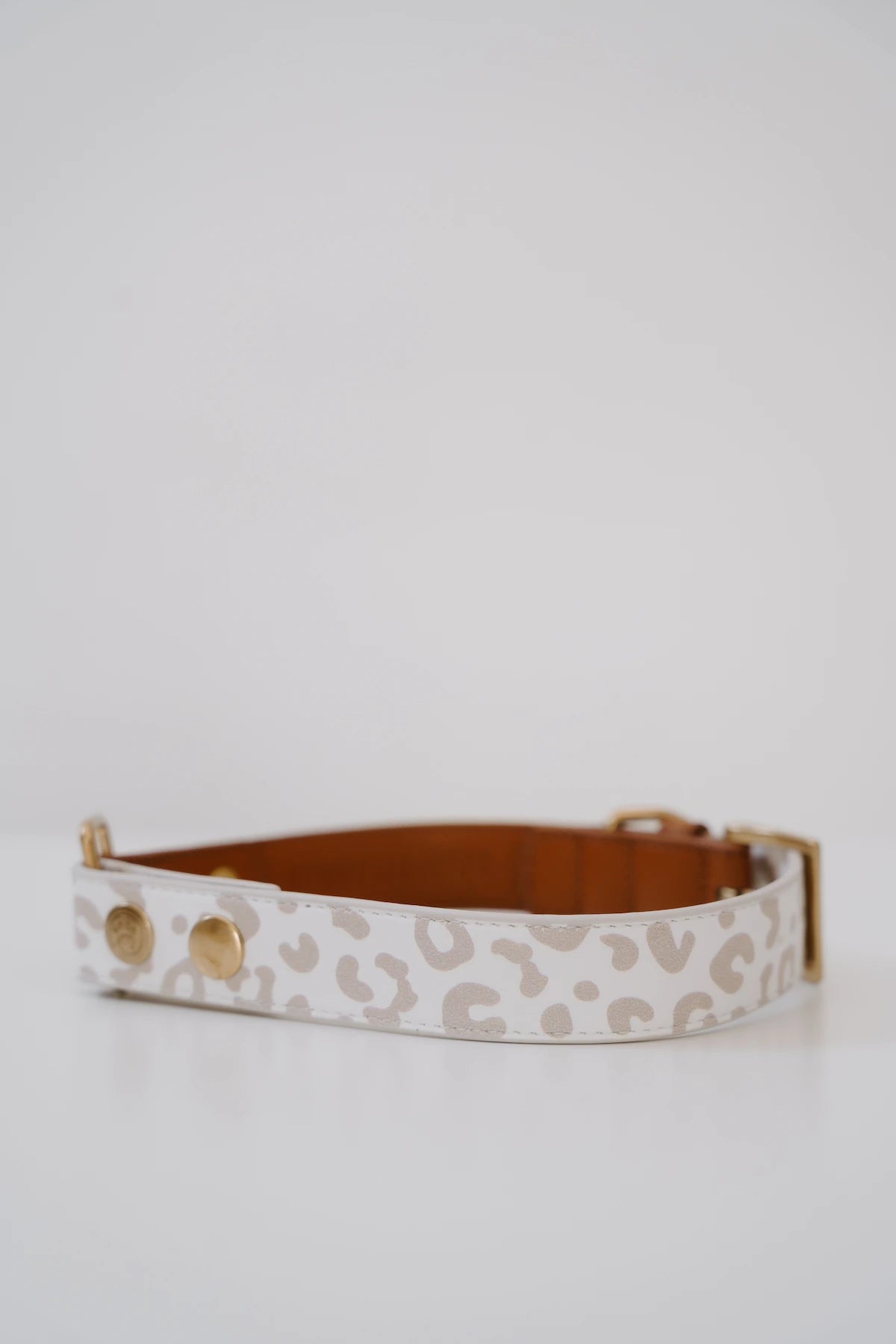 Design Hundehalsband aus veganem Leder – Magnifico-o-o-o