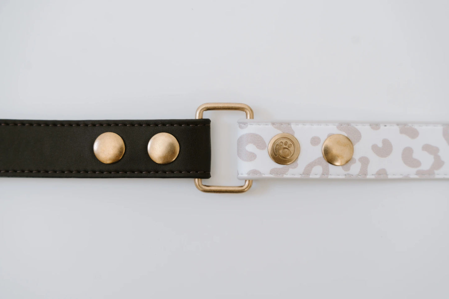 Design Hundehalsband aus veganem Leder – Magnifico-o-o-o