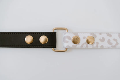 Design Hundehalsband aus veganem Leder – Magnifico-o-o-o