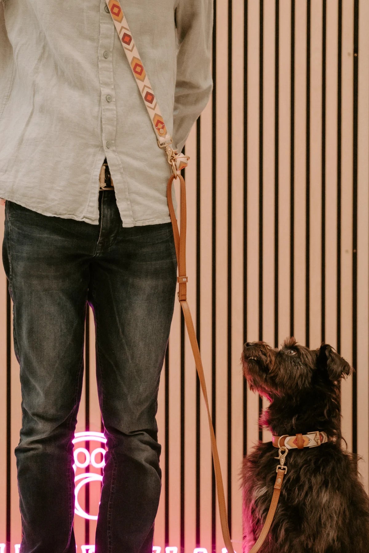 Design Hundehalsband aus veganem Leder – Scaramouche