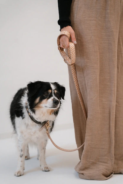 Easy come, easy go - Handsfree Leine