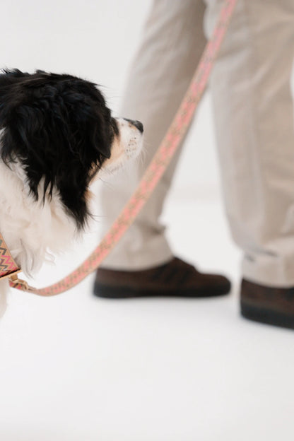 Galileo Figaro - Handsfree Leine