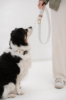 Magnifico-o-o-o – Mix & Match: Modulare Leine